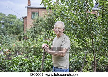 Portrait of senior man, smiling View Large Photo Image Stock Photo - Portrait of senior man, smiling. Fotosearch