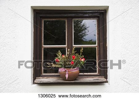 Pot plant on window sill View Large Photo Image Stock Photography - Pot plant on window sill. Fotosearch
