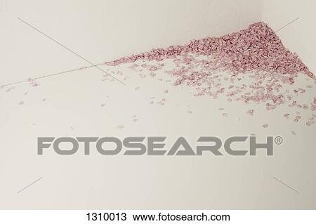 Rose petals in corner View Large Photo Image Stock Image - Rose petals in corner. Fotosearch