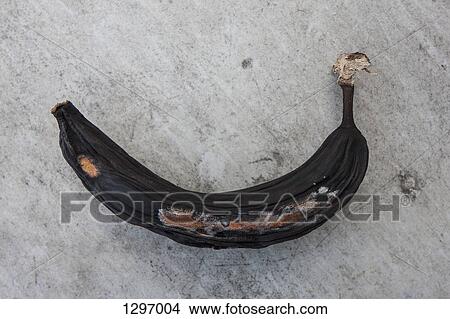 Picture - Rotting banana, close-up. Fotosearch