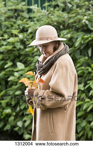 Senior woman looking at autumn leaves View Large Photo Image Picture - Senior woman looking at autumn leaves. Fotosearch