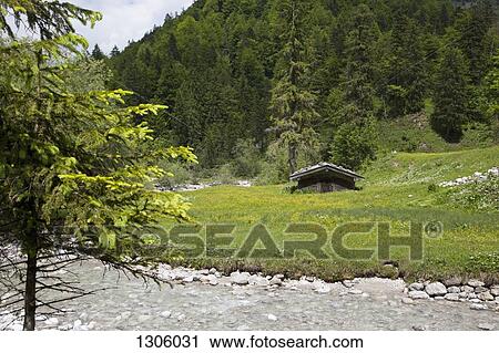 Stock Image - Small house near tree forest. Fotosearch