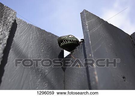 Toy animal on cement wall View Large Photo Image Stock Photo - Toy animal on cement wall. Fotosearch