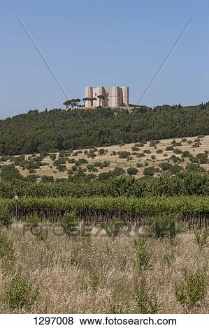 View of green trees and Castel Del Monte, Apulia, Italy View Large Photo Image Stock Photo - View of green trees and Castel Del Monte, Apulia, Italy. Fotosearch
