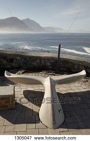 View over Walker Bay, Hermanus, South Africa View Large Photo Image Stock Photo - View over Walker Bay, Hermanus, South Africa. Fotosearch