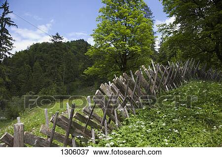 Stock Photo - Wooden Fence in forest. Fotosearch
