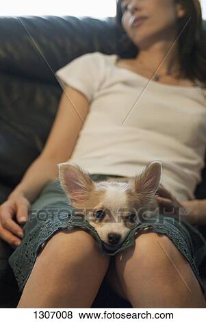 Stock Photo - Young woman with dog sitting on sofa. Fotosearch