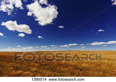 Picture - Agricultural field against blue sky. Fotosearch