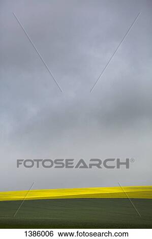 Agricultural field against cloudy sky View Large Photo Image Stock Photograph - Agricultural field against cloudy sky. Fotosearch