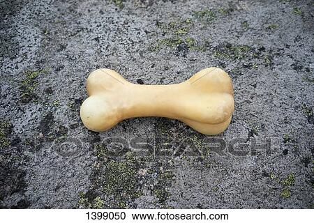 Artificial bone on rock View Large Photo Image Stock Image - Artificial bone on rock. Fotosearch