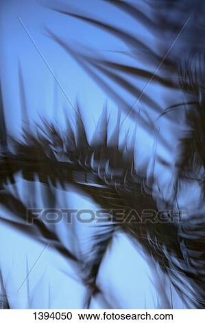 Stock Image - Blurred motion of palm leaves against clear blue sky. Fotosearch