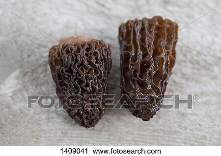 Stock Image - Close-up of dried Morchella mushrooms on table. Fotosearch