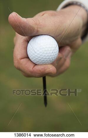 Picture - Cropped image of hand holding golf ball outdoors. Fotosearch
