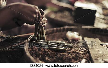 Cropped image of hands making cheroots View Large Photo Image Stock Photograph - Cropped image of hands making cheroots. Fotosearch