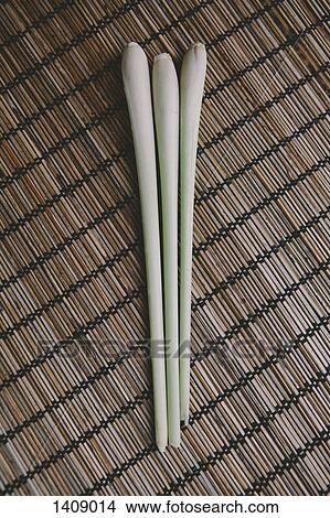 Directly above of leek on bamboo mat View Large Photo Image Picture - Directly above of leek on bamboo mat. Fotosearch