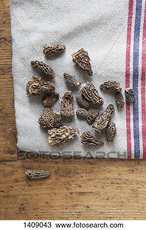 Directly above shot of dried Morchella mushrooms on cloth View Large Photo Image Stock Image - Directly above shot of dried Morchella mushrooms on cloth. Fotosearch