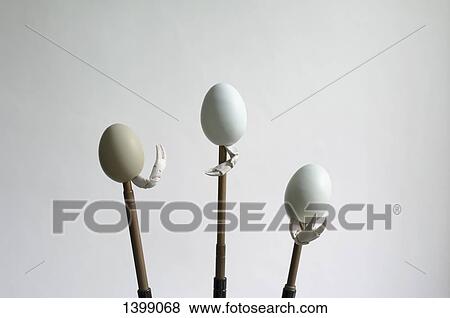 Eggs and crab jaws on sticks against white background View Large Photo Image Stock Photo - Eggs and crab jaws on sticks against white background. Fotosearch