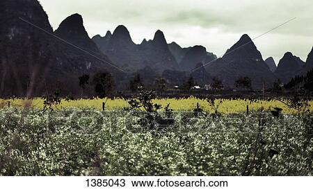 "Field against mountain ranges, Huanggyao, China" View Large Photo Image Stock Image - "Field against mountain ranges, Huanggyao, China". Fotosearch