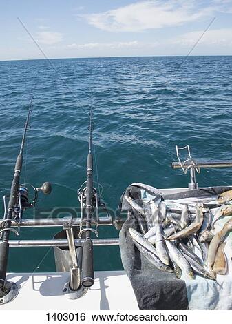 Stock Photograph - Fishing rods on boat. Fotosearch