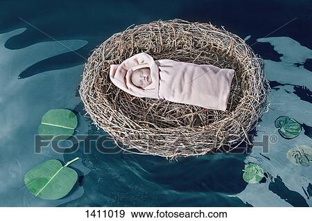 Stock Photo - High angle view of baby girl in bird's nest floating on pond. Fotosearch