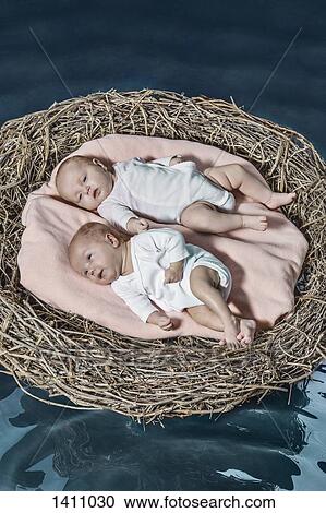 High angle view of baby girls in bird's nest floating on pond View Large Photo Image Stock Image - High angle view of baby girls in bird's nest floating on pond. Fotosearch