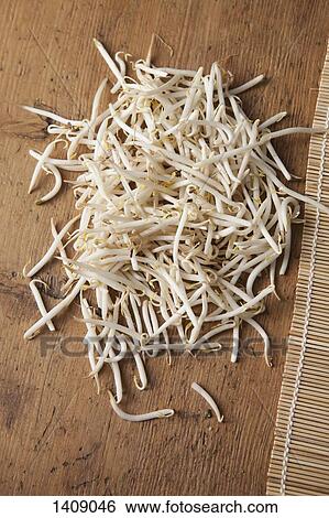 High angle view of mung bean sprouts on table View Large Photo Image Stock Photograph - High angle view of mung bean sprouts on table. Fotosearch