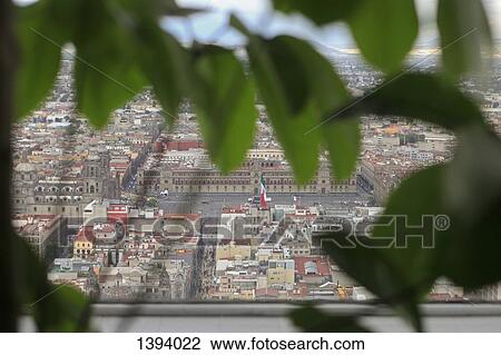 High angle view of The Zocalo seen through leaves View Large Photo Image Stock Image - High angle view of The Zocalo seen through leaves. Fotosearch