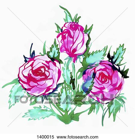 Illustration of pink roses on white background View Large Illustration Stock Illustration - Illustration of pink roses on white background. Fotosearch