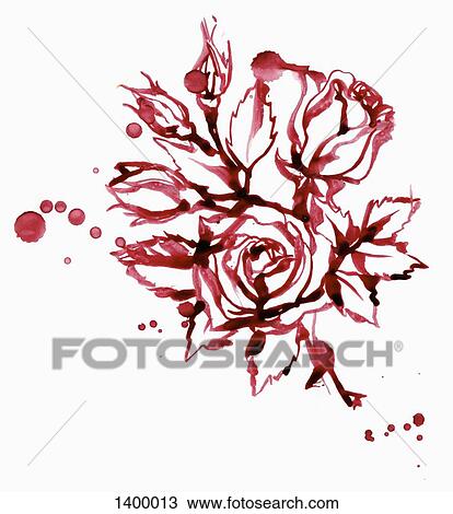 Illustration of roses on white background View Large Illustration Drawing - Illustration of roses on white background. Fotosearch