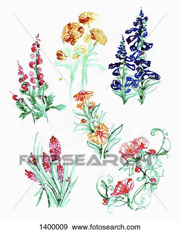 Illustration of various flowering plant on white background View Large Illustration Stock Illustration - Illustration of various flowering plant on white background. Fotosearch