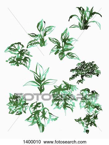 Illustration of various plants on white background View Large Illustration Clipart - Illustration of various plants on white background. Fotosearch