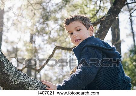 Stock Image - Low angle portrait of boy sitting on tree trunk in forest. Fotosearch