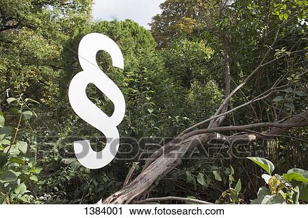 Stock Image - Paragraph symbol on tree in forest. Fotosearch