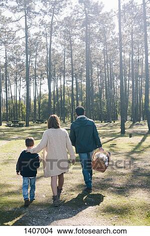 Rear view of family with picnic basket walking in forest View Large Photo Image Picture - Rear view of family with picnic basket walking in forest. Fotosearch