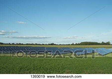 Stock Photo - Rows of solar panels in field. Fotosearch