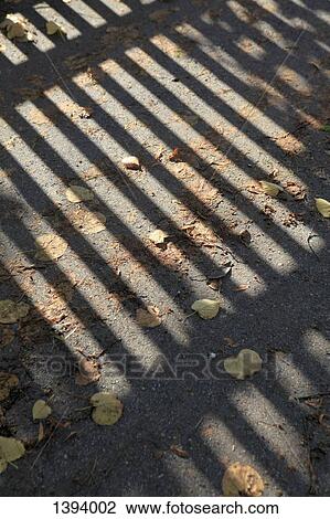 Shadow of railing on messy street View Large Photo Image Stock Image - Shadow of railing on messy street. Fotosearch