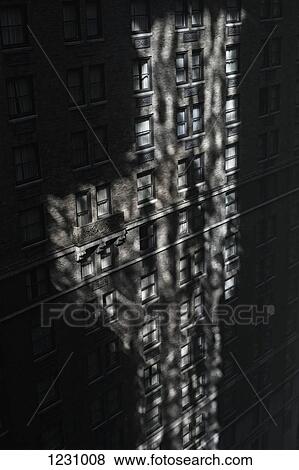 Shadowed building View Large Photo Image Stock Photo - Shadowed building. Fotosearch