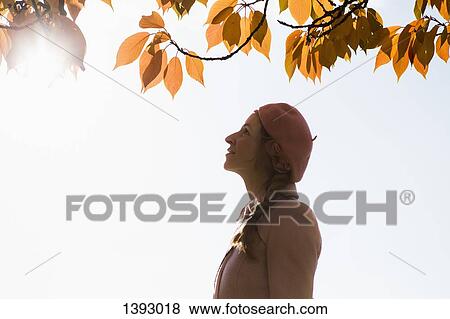 Side view of happy woman looking at tree during autumn View Large Photo Image Stock Photo - Side view of happy woman looking at tree during autumn. Fotosearch