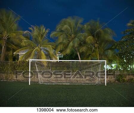 Picture - Soccer goal on field against palm trees at dusk. Fotosearch