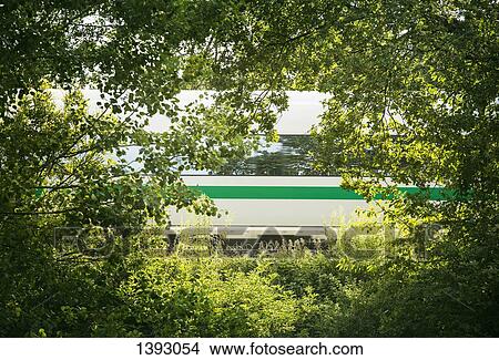 Train seen through trees View Large Photo Image Picture - Train seen through trees. Fotosearch