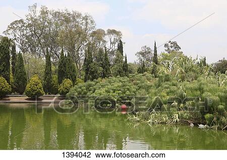 Trees growing by pond against sky View Large Photo Image Stock Image - Trees growing by pond against sky. Fotosearch