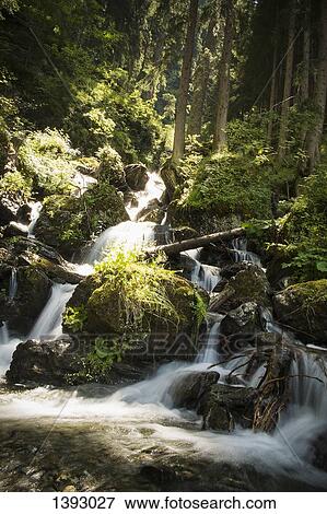 Waterfall in forest View Large Photo Image Stock Photo - Waterfall in forest. Fotosearch