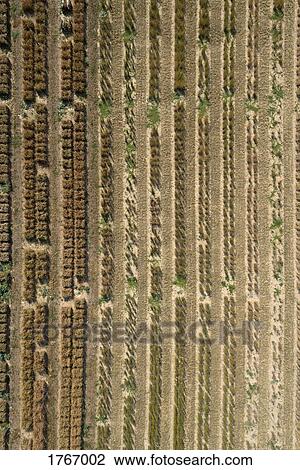 Aerial view agricultural trial fields, Hohenheim, Baden-Wuerttemberg, Germany View Large Photo Image Stock Image - Aerial view agricultural trial fields, Hohenheim, Baden-Wuerttemberg, Germany. Fotosearch