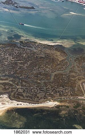 Aerial view algae along coastline, Faro, Algarve, Portugal View Large Photo Image Stock Image - Aerial view algae along coastline, Faro, Algarve, Portugal. Fotosearch