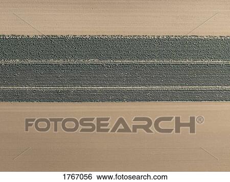 Aerial view brown and green agricultural crops, Hohenheim, Baden-Wuerttemberg, Germany View Large Photo Image Stock Photograph - Aerial view brown and green agricultural crops, Hohenheim, Baden-Wuerttemberg, Germany. Fotosearch