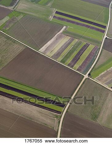 Aerial view brown and green agricultural crops, Hohenheim, Baden-Wuerttemberg, Germany View Large Photo Image Stock Photography - Aerial view brown and green agricultural crops, Hohenheim, Baden-Wuerttemberg, Germany. Fotosearch