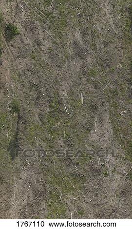 Aerial view deforestation near Frankfurt, Hessen, Germany View Large Photo Image Stock Image - Aerial view deforestation near Frankfurt, Hessen, Germany. Fotosearch