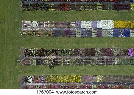 Aerial view experimental flower crops, Hohenheim, Baden-Wuerttemberg, Germany View Large Photo Image Picture - Aerial view experimental flower crops, Hohenheim, Baden-Wuerttemberg, Germany. Fotosearch