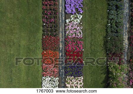 Aerial view experimental flower crops, Hohenheim, Baden-Wuerttemberg, Germany View Large Photo Image Stock Image - Aerial view experimental flower crops, Hohenheim, Baden-Wuerttemberg, Germany. Fotosearch