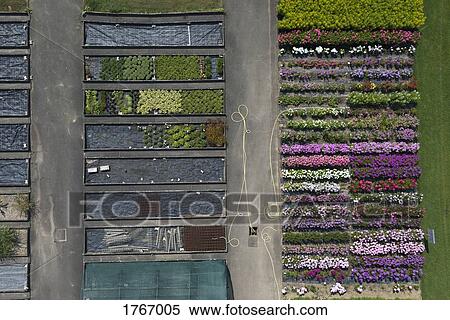 Stock Photography - Aerial view experimental flower crops, Hohenheim, Baden-Wuerttemberg, Germany. Fotosearch